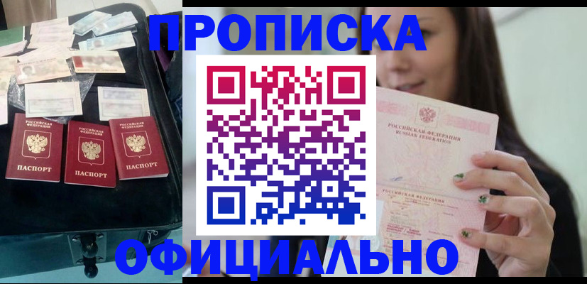 прописка законно в Камышине
